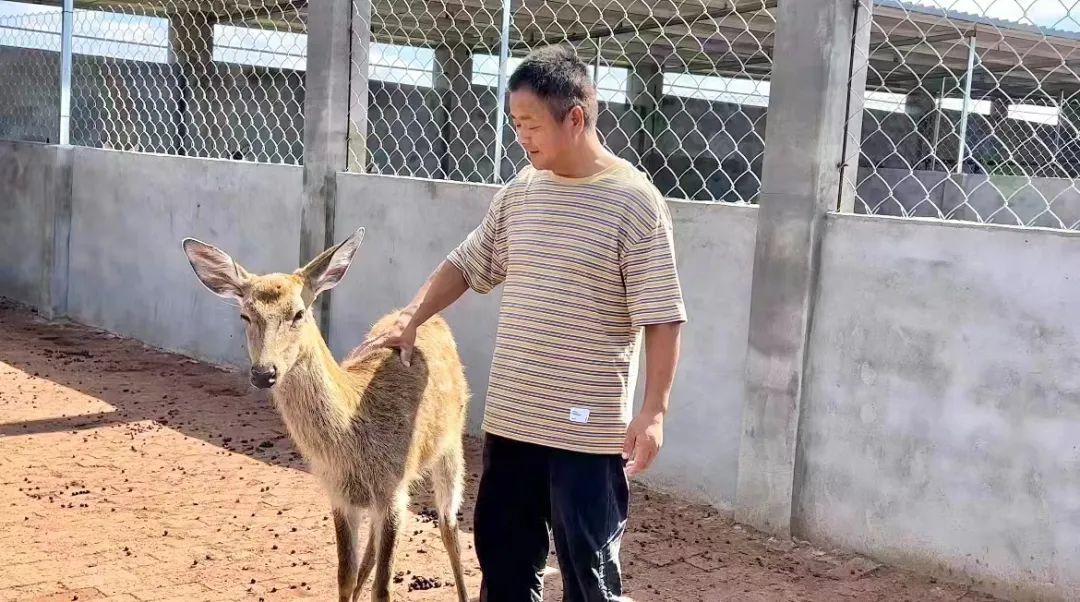 威尼斯娱乐官方